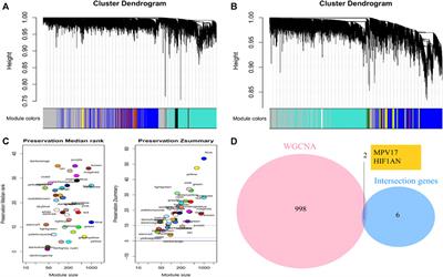 Identification and validation of potential biomarkers for atrial fibrillation based on integrated bioinformatics analysis